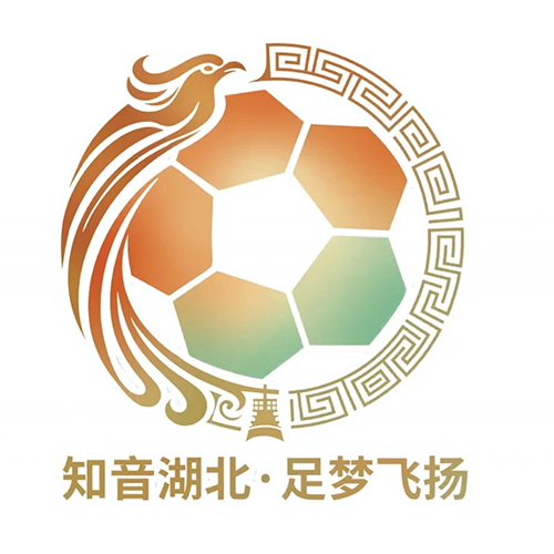 湖北省城市足球联赛 神农架队VS十堰武当队20260912海报